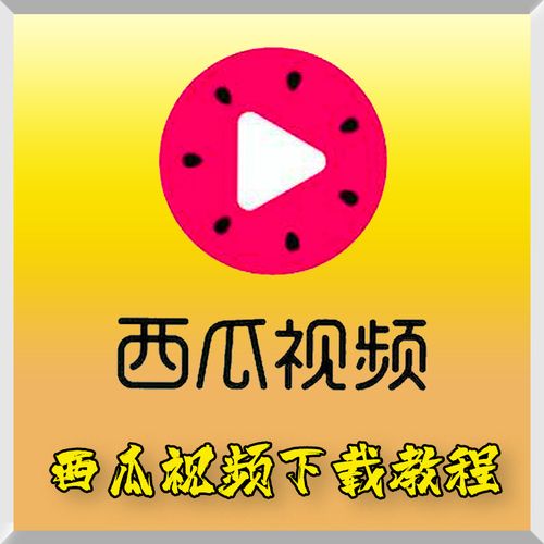 西瓜视频新手快速涨粉丝关注的妙招
